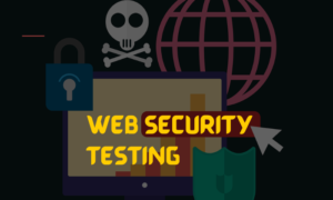 Web Security Testing